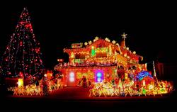Lights, Camera, Christmas - ABC