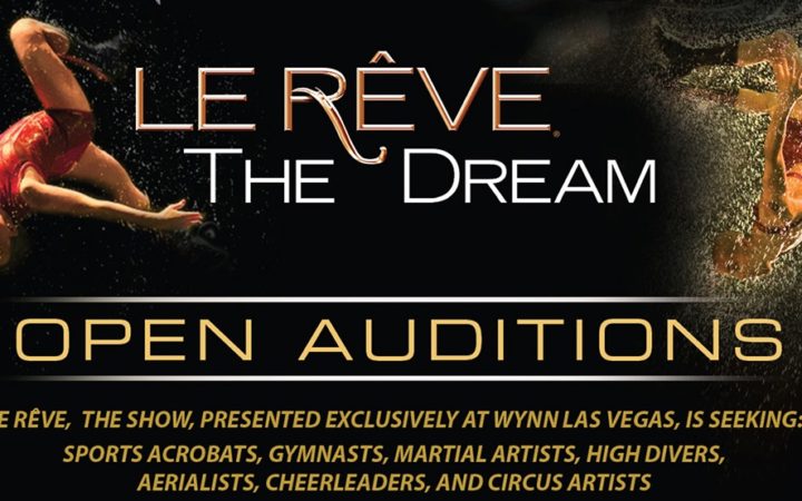 Le Rêve – The Dream Show Performers