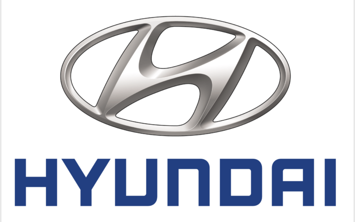 Hyundai Commercial Actress and Model